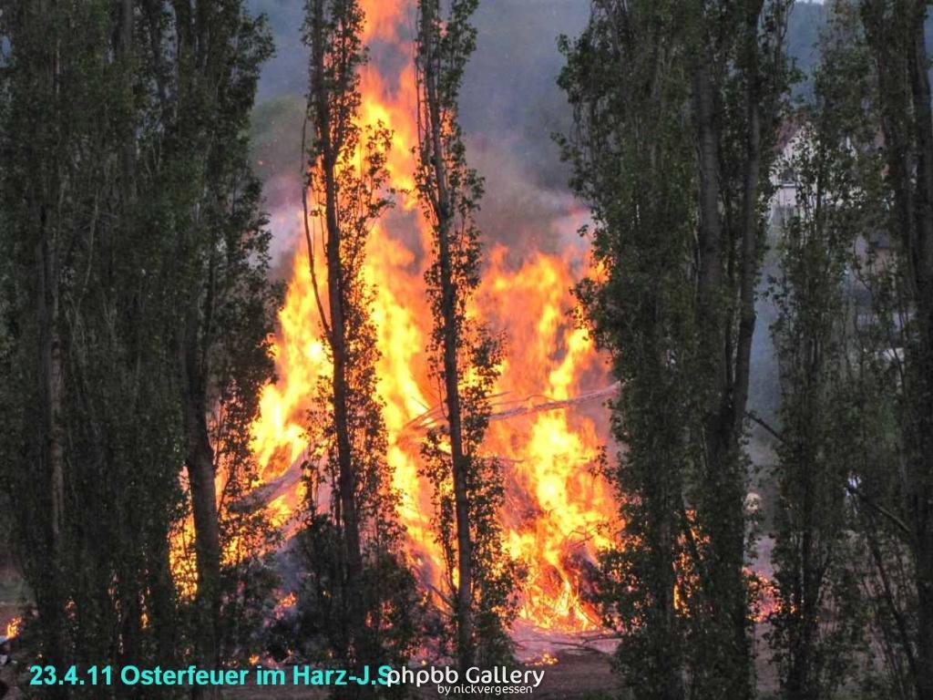 Osterfeuer im Harz 23.4 (9)