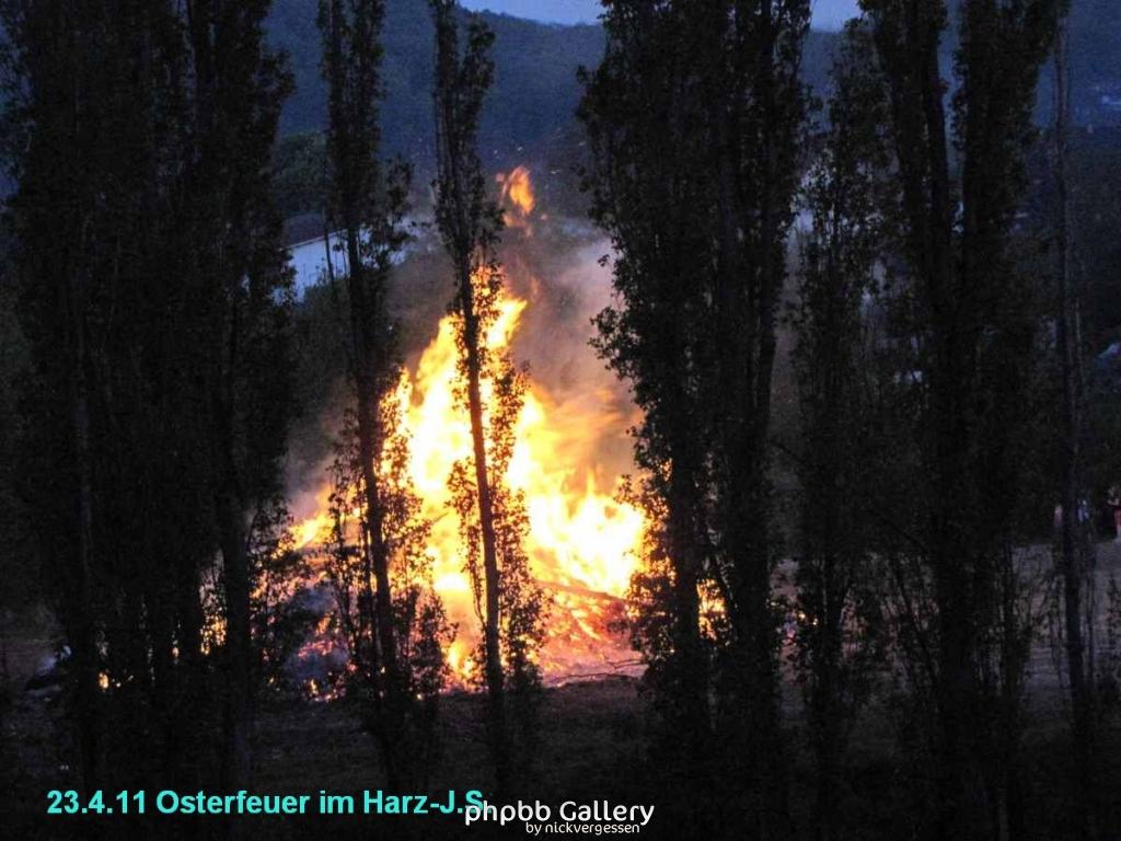 Osterfeuer im Harz 23.4 (11)