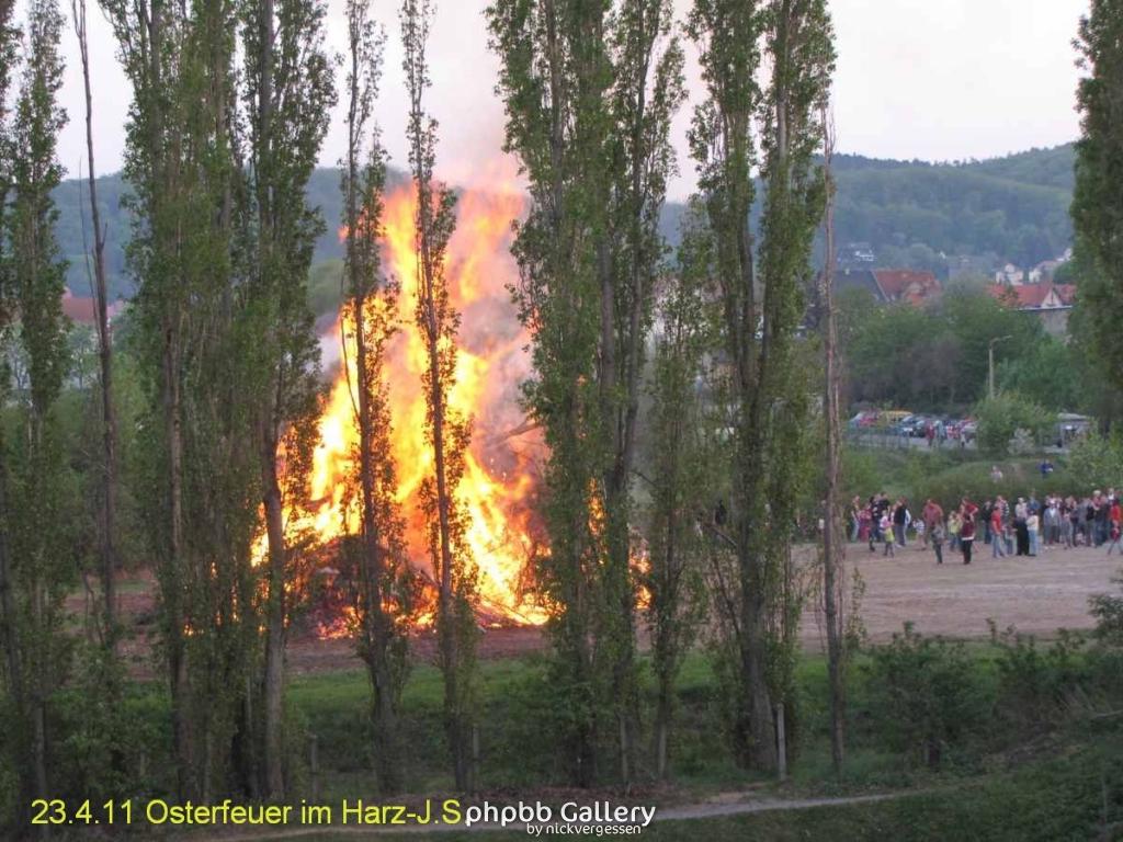 Osterfeuer im Harz 23.4