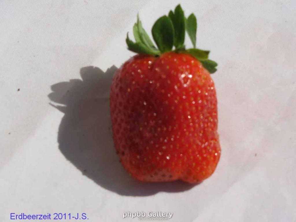 Erdbeerzeit 2011