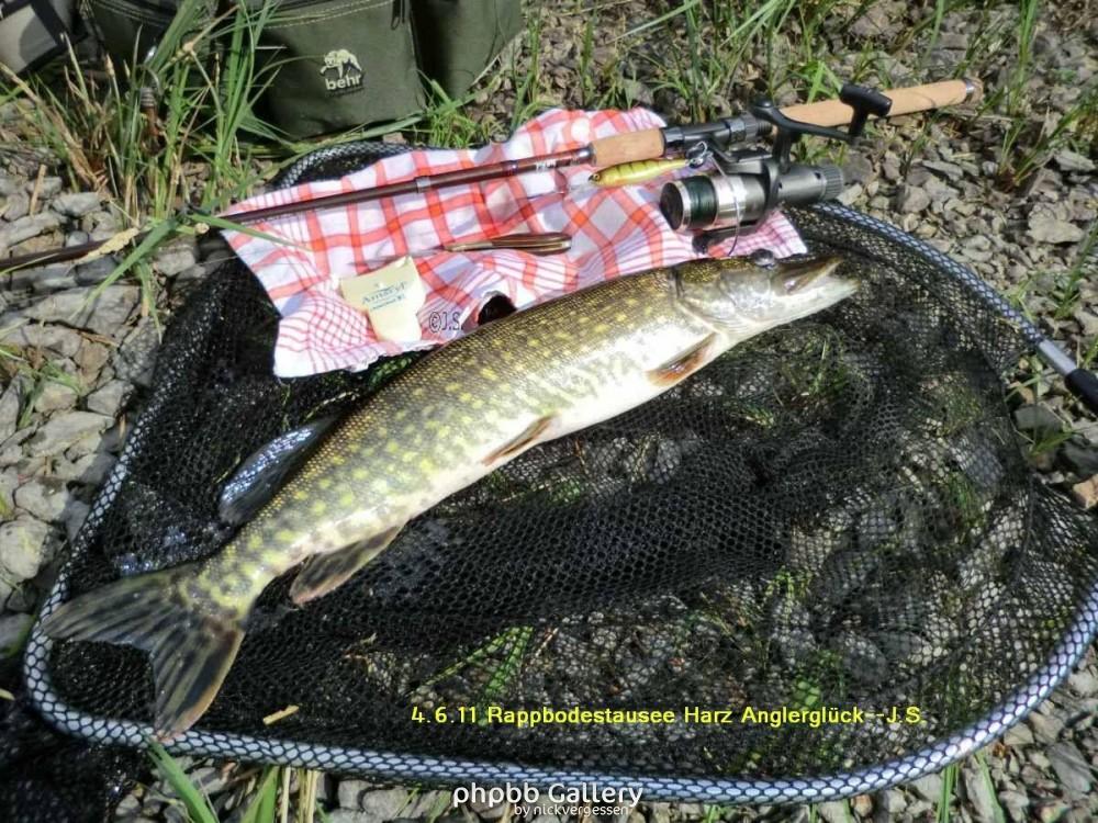 4.6.11 Brocken Harz Wanderung (35)