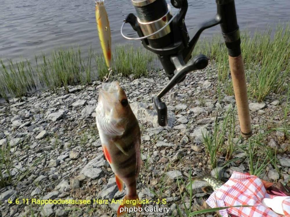 4.6.11 Brocken Harz Wanderung (36)