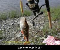 4.6.11 Brocken Harz Wanderung (36)