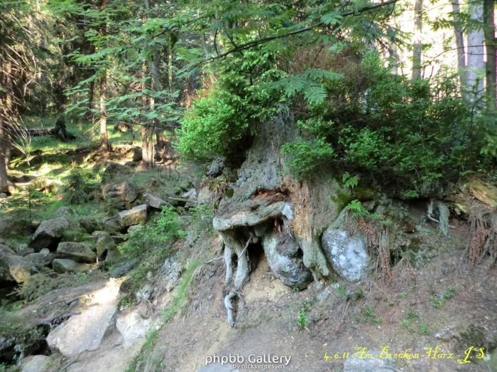 4.6.11 Brocken Harz Wanderung (2)