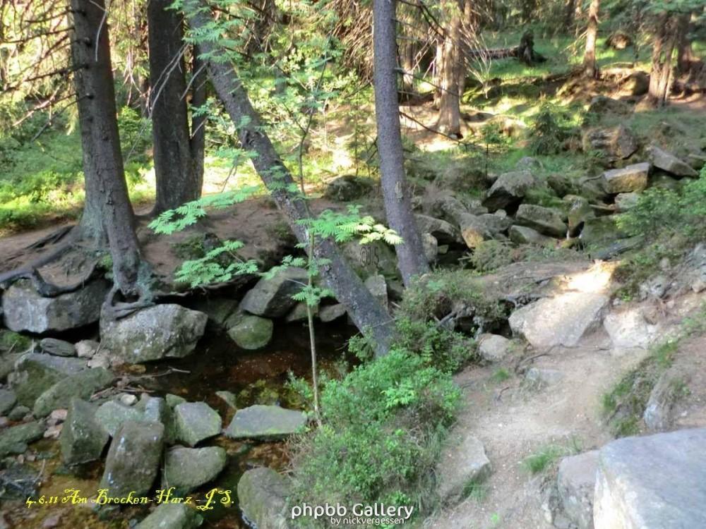 4.6.11 Brocken Harz Wanderung (3)