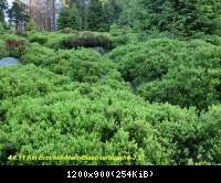 4.6.11 Brocken Harz Wanderung (4)