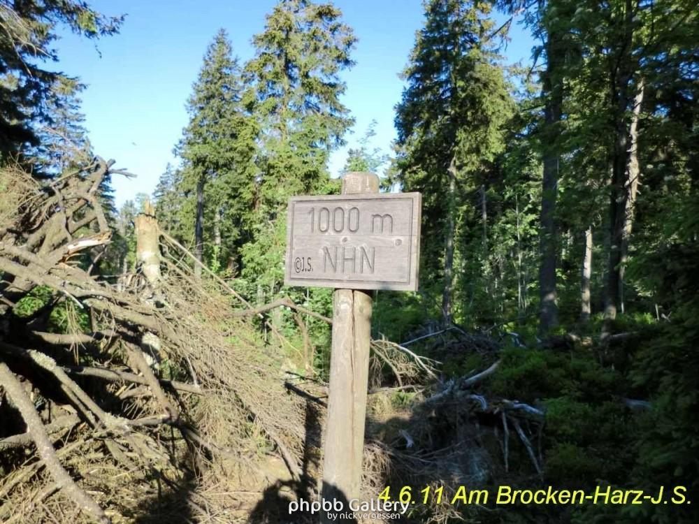 4.6.11 Brocken Harz Wanderung (5)