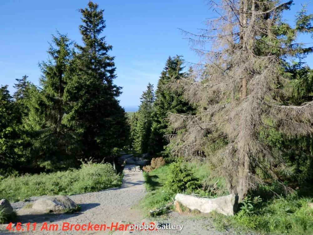 4.6.11 Brocken Harz Wanderung (6)