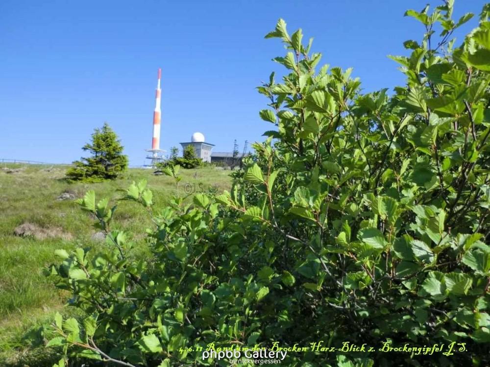 4.6.11 Brocken Harz Wanderung (16)