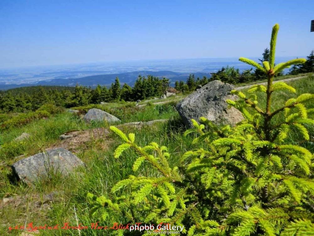 4.6.11 Brocken Harz Wanderung (19)