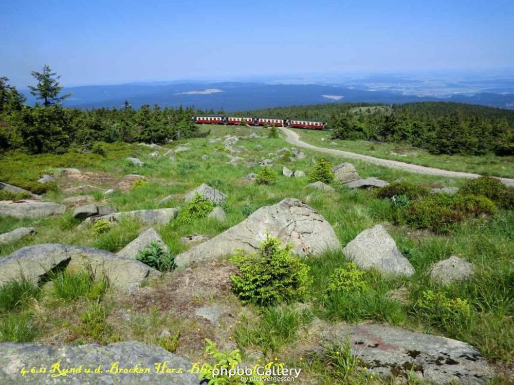 4.6.11 Brocken Harz Wanderung (21)