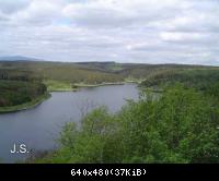 Harz-Sommer Rappbodestausee (6)