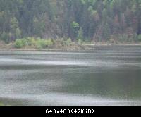 Harz-Sommer Rappbodestausee (8)