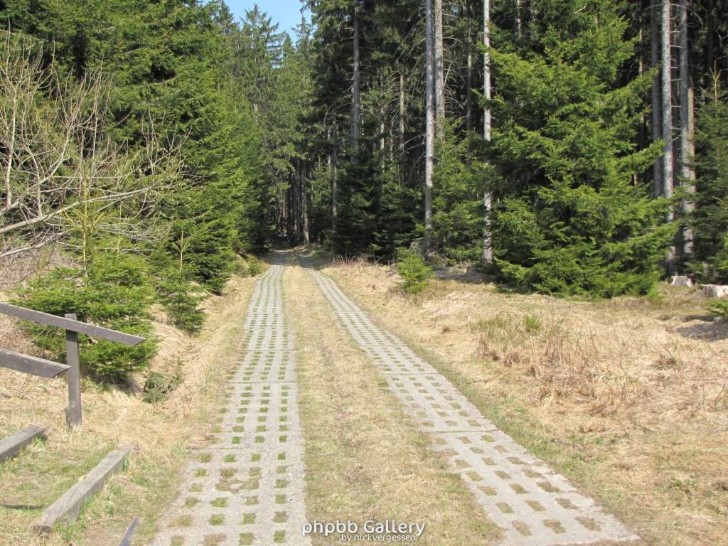 24.4.2010 Kolonnenweg a.d.ehm Grenze im Harz Kaffeehorst(3)