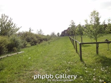 Blick vom ehem. Grenzverlauf in Richtung Point Alpha.