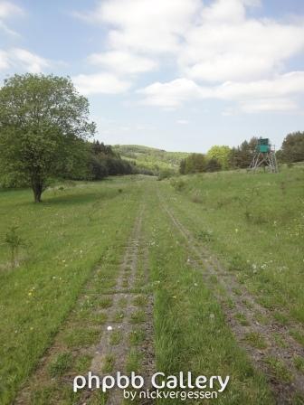 Kolonnenweg rechts des Fischerhofes.