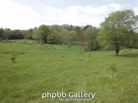 Ehemaliger "Fischerhof".