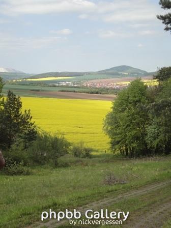 Buttlar im Hintergrund.