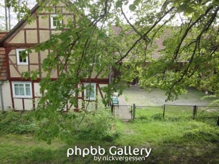 Buchenmühle - BRD-Seite. Vor dem Weg der Grenzstein...