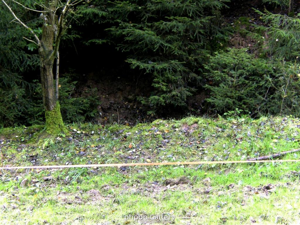 Wendehausen Katharinenberg 09  181009