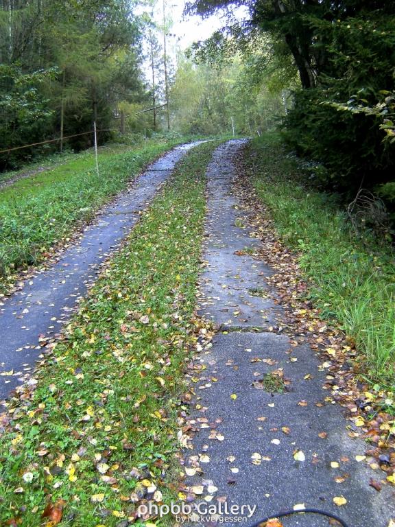 Wendehausen Katharinenberg 10  181009