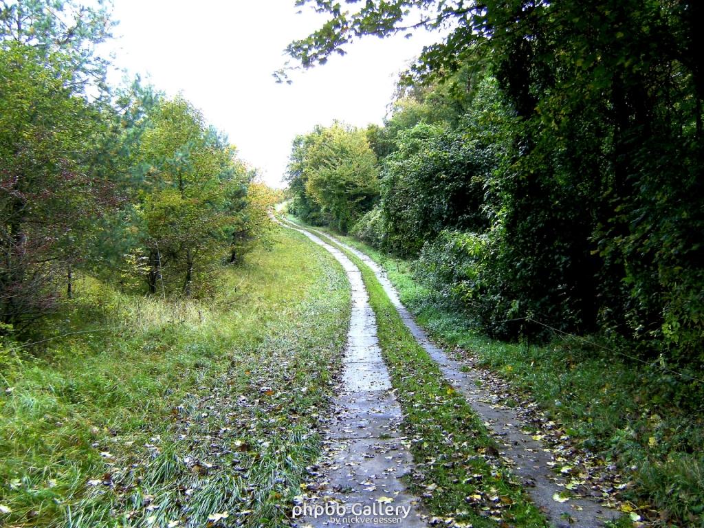 Wendehausen Katharinenberg 24  181009