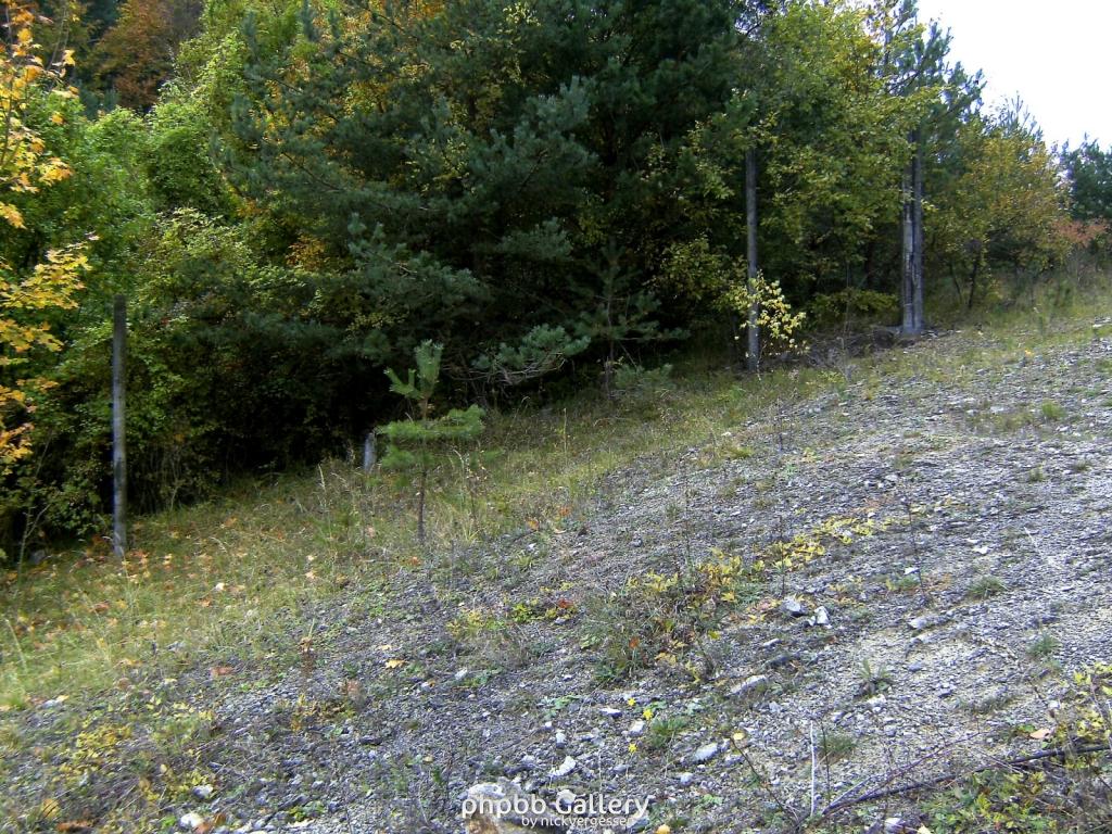 Wendehausen Katharinenberg 38  181009