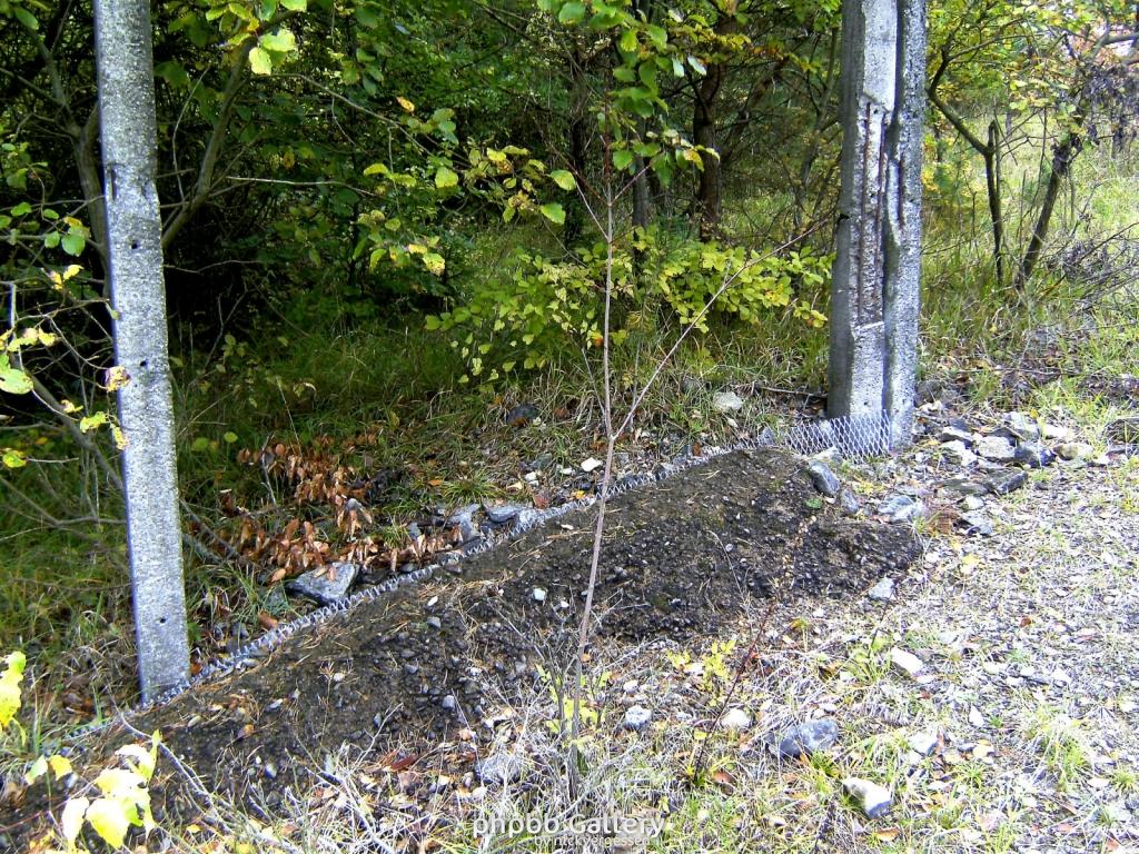 Wendehausen Katharinenberg 39  181009