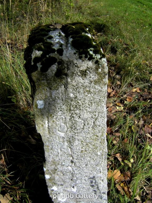 Wendehausen Katharinenberg 44  181009