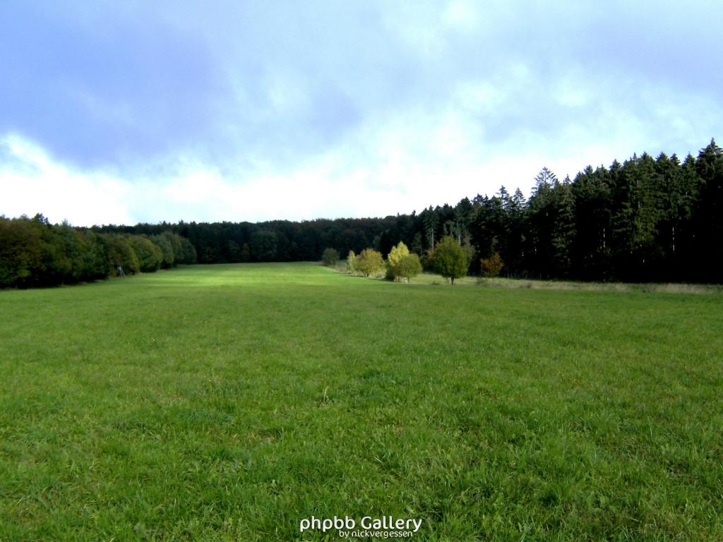 Wendehausen Katharinenberg 46  181009