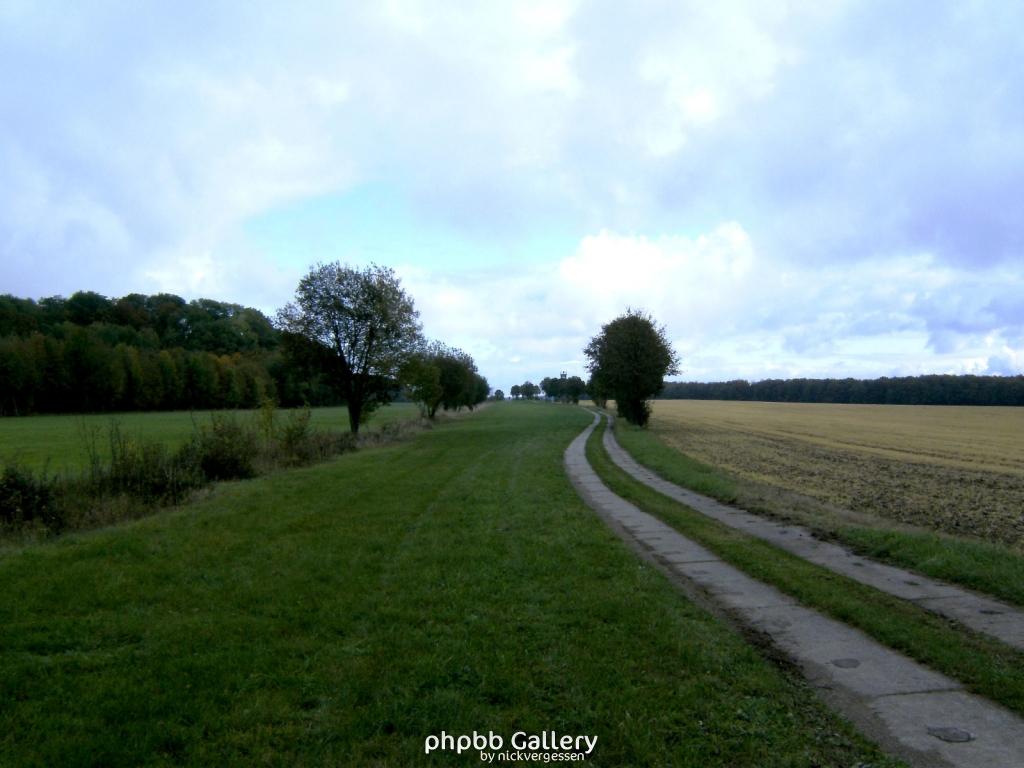 Wendehausen Katharinenberg 50  181009