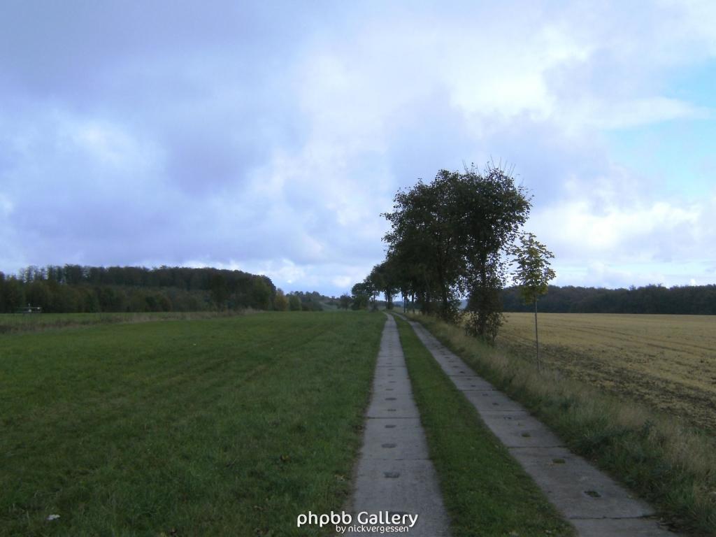 Wendehausen Katharinenberg 60  181009