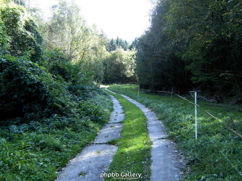 Wendehausen Katharinenberg 80  181009