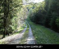 Wendehausen Katharinenberg 81  181009