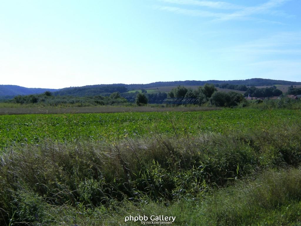 Goeringen 03  260709