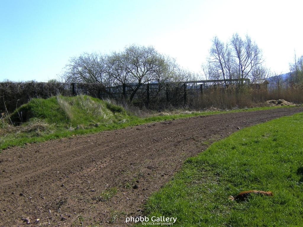 Göringen 16  180410.