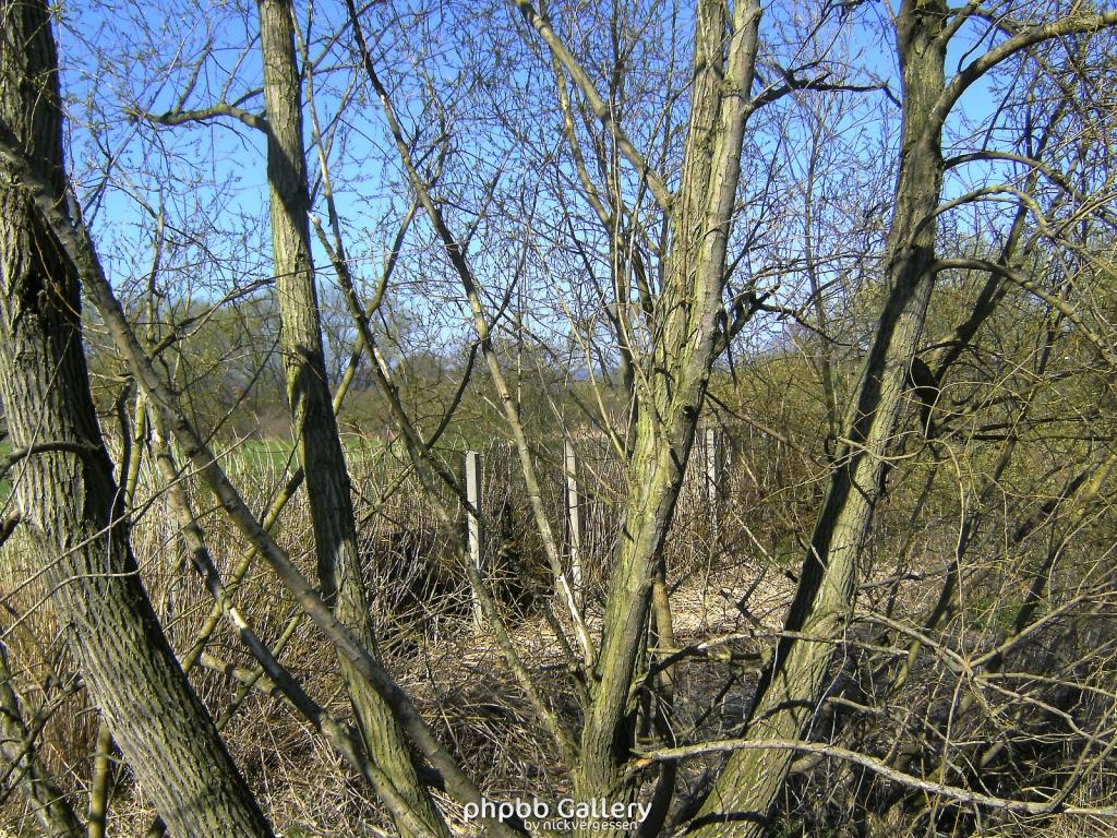 Göringen 18  180410.