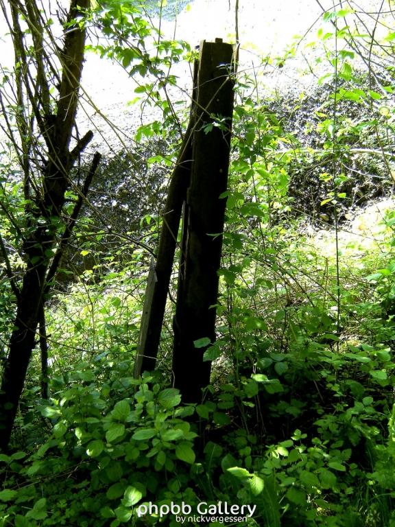 Ifta Fuest Luederbach 15  23052010