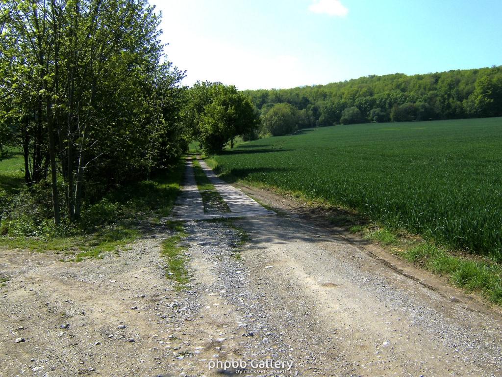 Ifta Fuest Luederbach 18  23052010