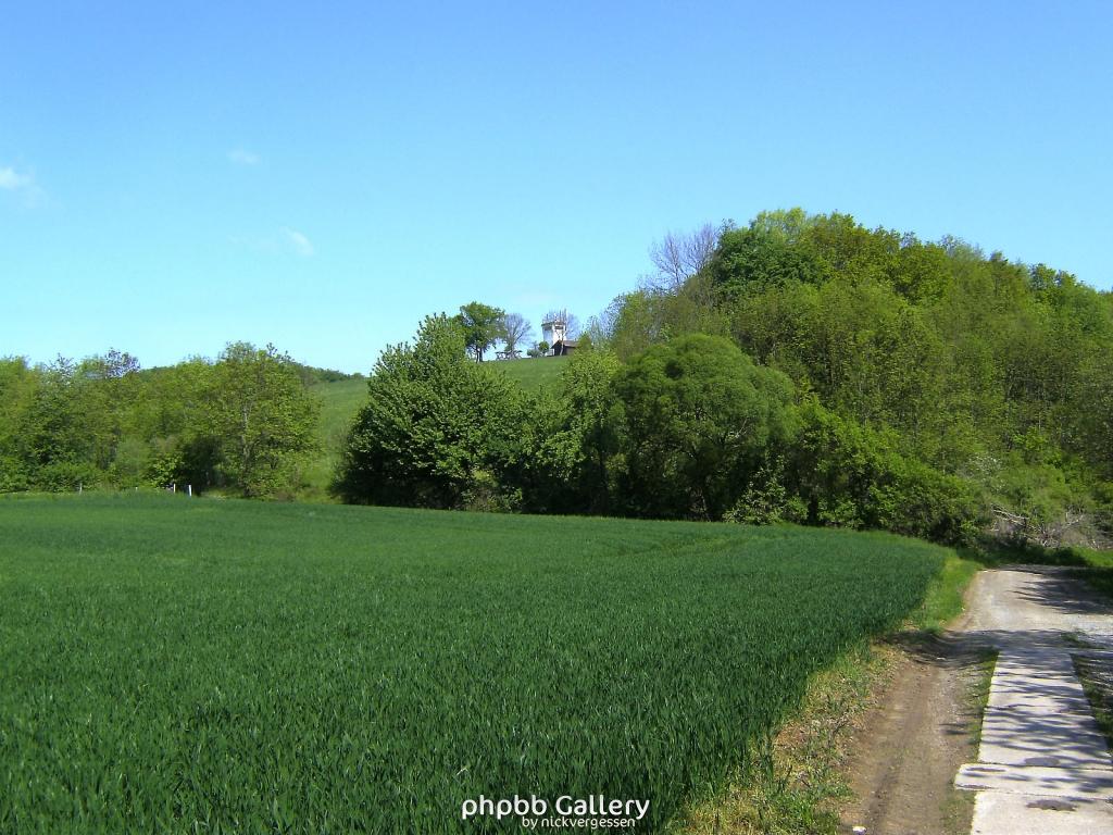 Ifta Fuest Luederbach 19  23052010
