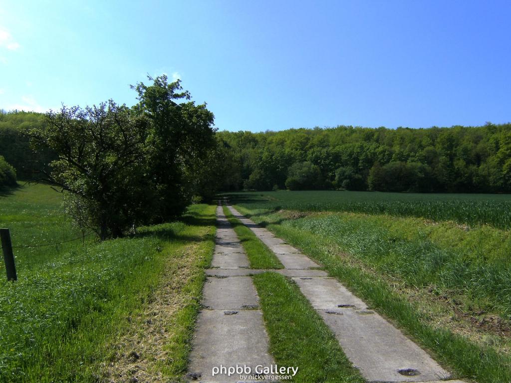 Ifta Fuest Luederbach 21  23052010