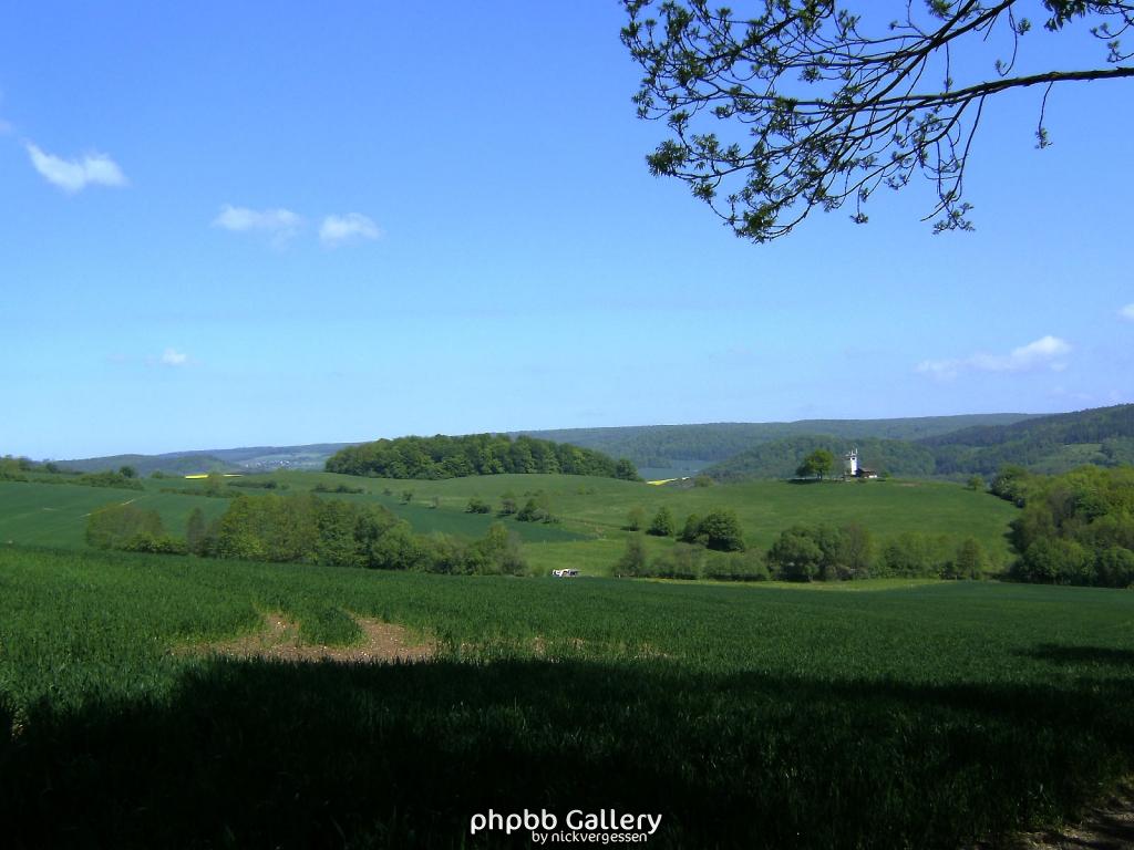 Ifta Fuest Luederbach 22  23052010