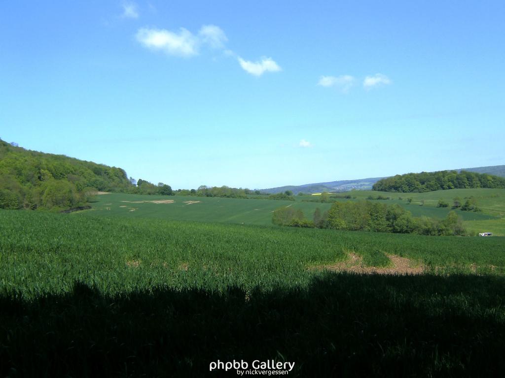 Ifta Fuest Luederbach 23  23052010