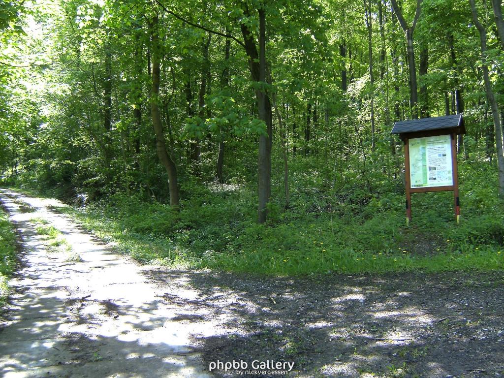 Ifta Fuest Luederbach 26  23052010