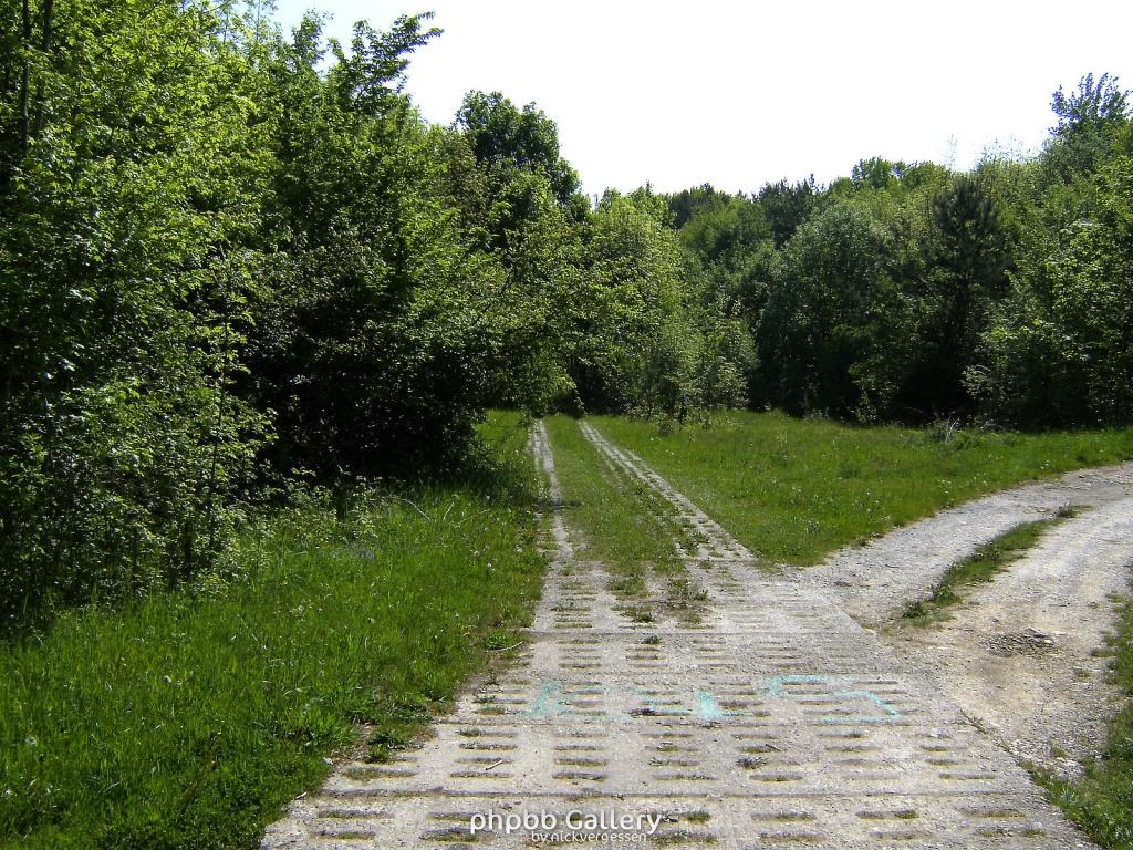 Ifta Fuest Luederbach 32  23052010
