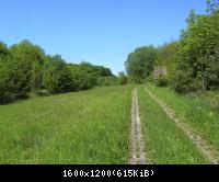 Ifta Fuest Luederbach 34  23052010