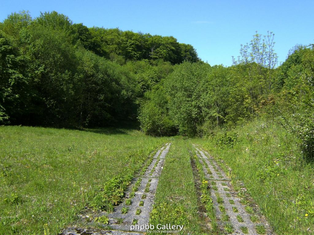 Ifta Fuest Luederbach 36  23052010