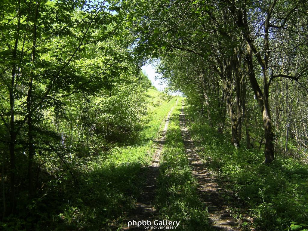 Ifta Fuest Luederbach 37  23052010