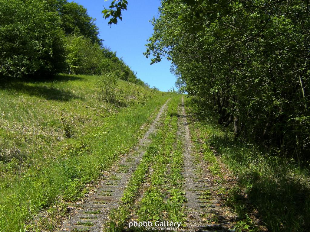 Ifta Fuest Luederbach 38  23052010