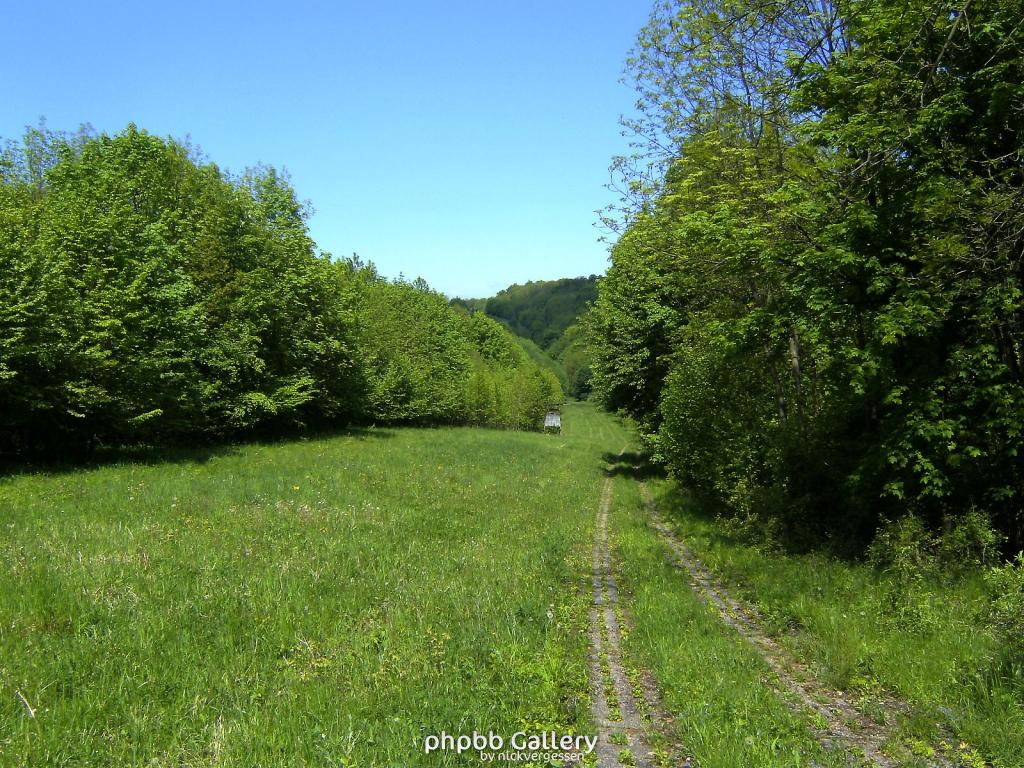 Ifta Fuest Luederbach 39  23052010